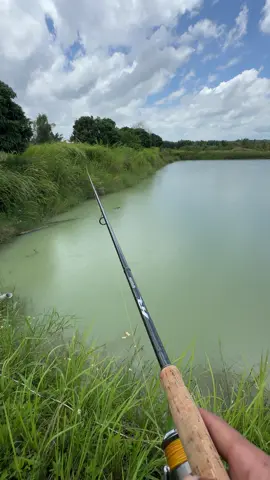 Trời đẹp như này mà mưa nầy #caucaloctunhien #caucaloc #lurefishing #cầnhorai 