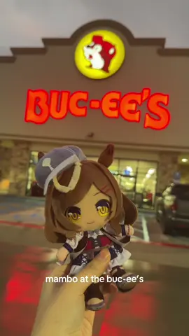 she enjoyed the beaver nuggets #matikanetannhauser #bucees #buceesgasstation #buceeseverything #buceestexas #mambo #umamusume 