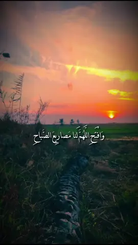 #دعاء #الصباح #اللهم_صلي_على_نبينا_محمد #الوائلي #عميد_المنبر_احمد_الوائلي
