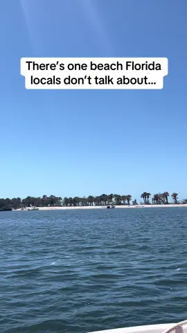 This beach isn’t in brochures. There’s no sign. But if you know it, you know it. Florida’s best shark tooth beach is still open — and locals are trying to keep it quiet. 👇Drop the name if you’ve been.  #floridabeaches #caspersenbeach #travelflorida #sharkteeth #beachvibes #floridalife #beachtok #hiddengems #tropicalescape 