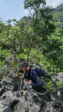mê muội 