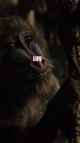 LIFE IS NOT A STRAIGHT PATH 