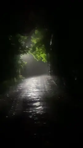 Kinda buns, First time doing this type of thing, been wanting to do it myself, but hope you guys like it :)  #fyp #scenery #foryoupage #chillvibes #rain 