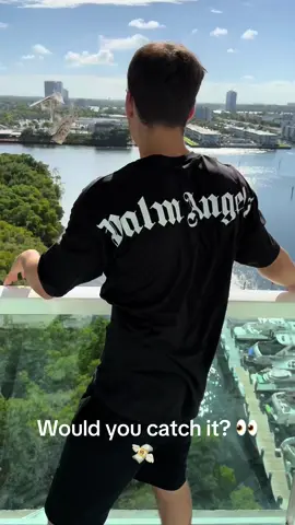 #MrMiamiCash #MiamiVibes #CashDrop #LuxuryLife #MoneyTalks