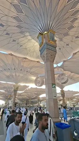 #মদিনার_পাগলআমি🕋🕋🕋🤲🤲🤲 #গেলে বুঝবে মদিনাতা আসলে জান্নাত #সবাই_একটু_সাপোর্ট_করবেন_প্লিজ 