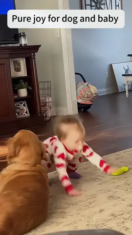 Pure joy for the dog and baby #dog #dogsoftiktok #Love #baby 