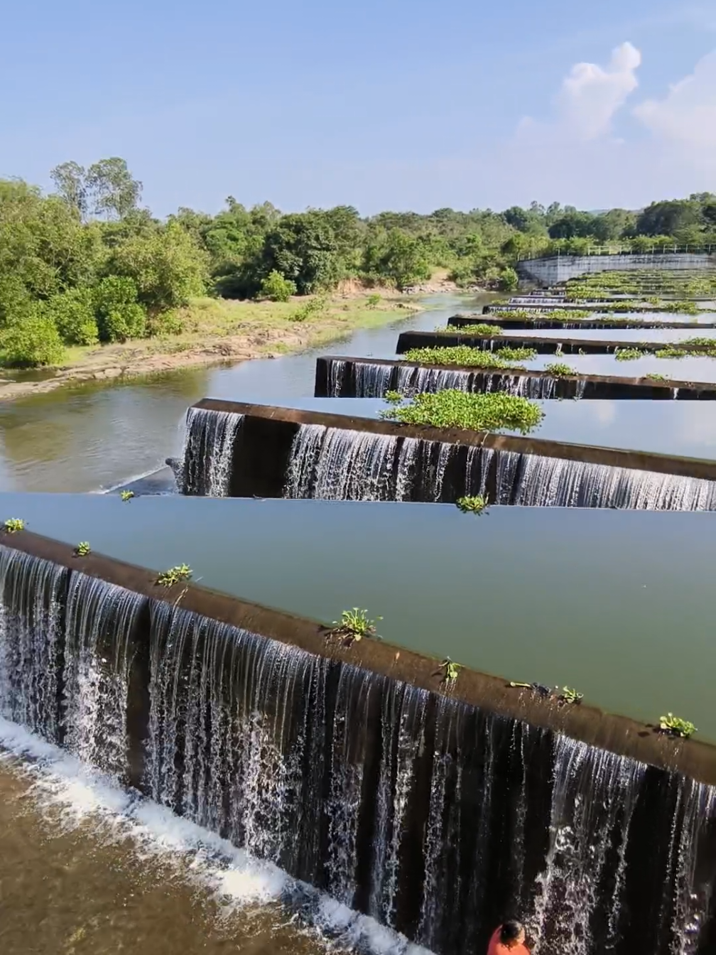 Beauty of Pimburathewa tank 💚  #travel #trending #viralvideo #friendzone #polonnaruwa #pimburaththewa_tank❤️🤪🙄😁 #explore #photography #effect 
