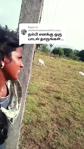 Replying to @shaikalavudeenmoh5 