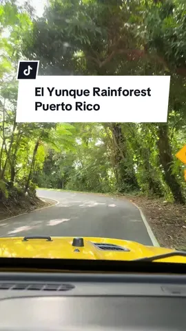 You ever been stranded in the rain forest with a car and no gas to ride it? Yeah… me either #puertorico #elyunquerainforest 