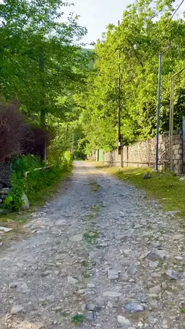 Şəki❤️ #başgöynük  #villagelife 