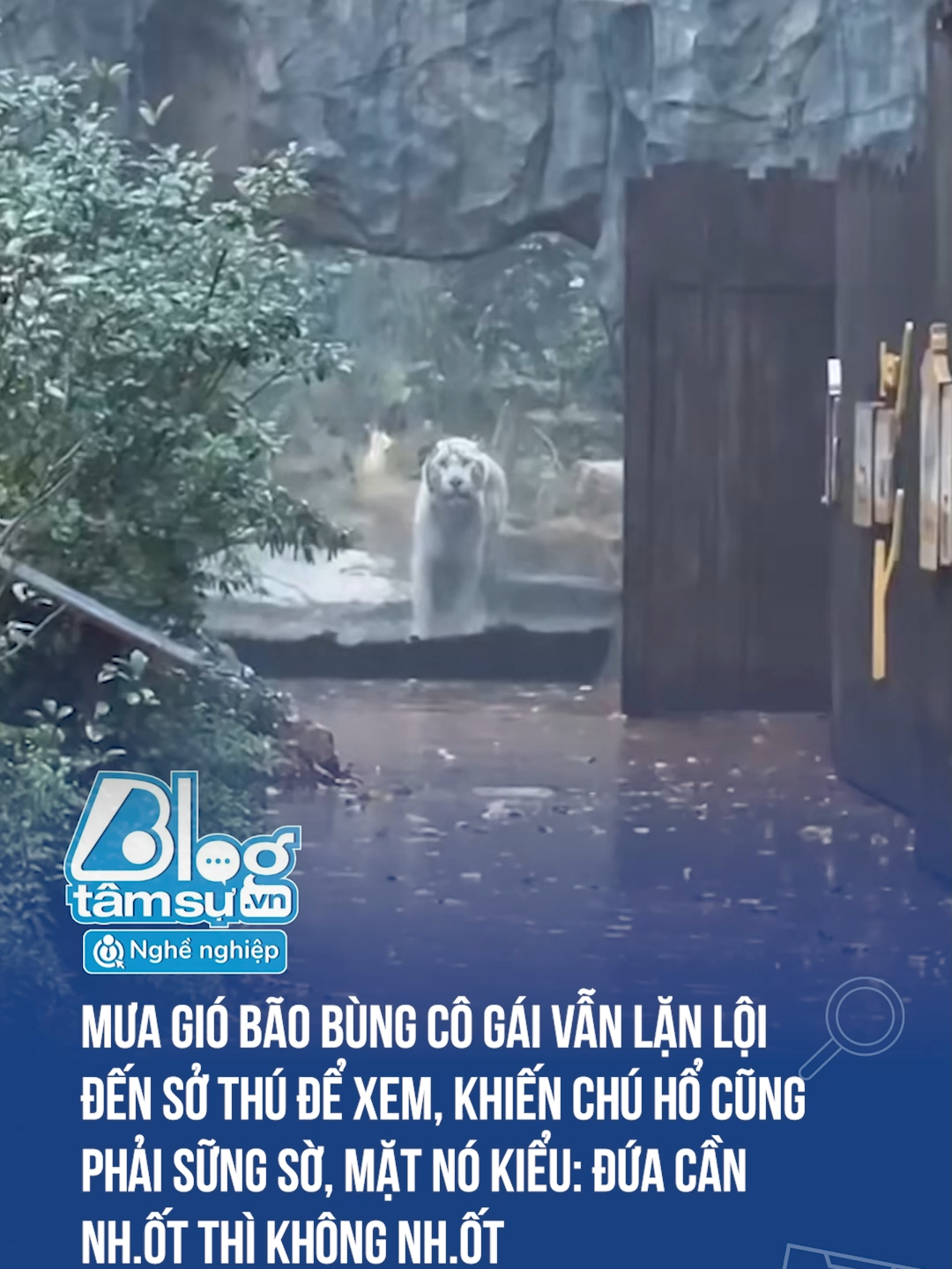 Nhìn mặt nó ngạc nhiên chưa kìa 🤣🤣 #discovery #blogtamsu #xuhuong #btsmedia #funfact #haihuoc #funny #viral #tiktoknews #ho