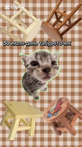 Извините за озвучку #30июля #котик #милый #табуреточек 