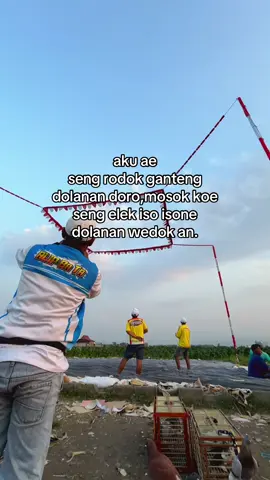 guyon cah✋🏻#fypシ゚ #merpatikolong #masukberanda #merpatikolongbebas #fypage 