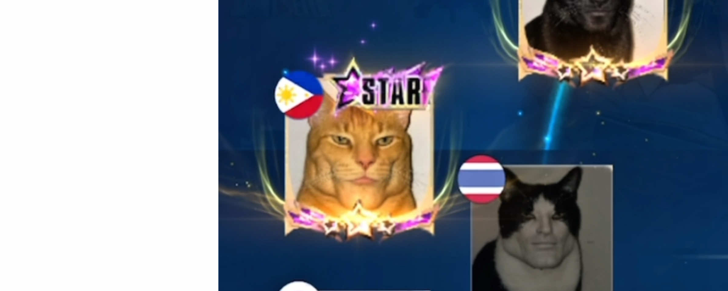 ที่บ้านมีแมวยังจ้ะ พวกผมมีกัน5ตัว #MLBB #swakekung23 #พี่ฝันดี #แมวเขียวชอบเกาหลัง #mobilelegends #mlbbswake 