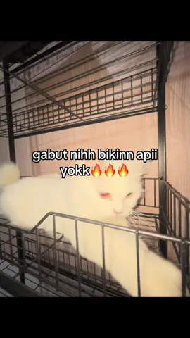 #gasukaskip📵 #fyppppppppppppppppppppppp #moots? #4upage 