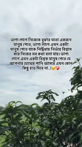 ভাগ্য লাগে নিজেকে বুঝার মতো একজন মানুষ পেতে, ভাগ্য লাগে এমন একটা মানুষ পেতে যাকে নির্দ্বিধায় নির্ভয়ে বিশ্বাস করে নিজের সব কথা বলা যায়।ভাগ্য লাগে এমন একটা বিশ্বস্ত মানুষ পেতে যে আপনার চোখের পানি আসবে এমন কোন কিছু হতে দিবে না..!🥹❤️‍🩹#reels #tiktokofficial #viralvideo #foryou #fypシ゚ #viral #everyone 