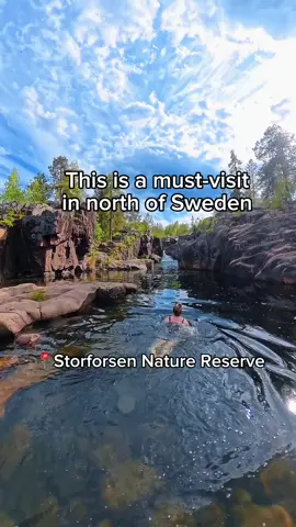 This is a must-visit in northern Sweden 🇸🇪 📍 Storforsen Nature Reserve Absolutely magical – wild rapids and breathtaking scenery all around! 🌊 The perfect day trip: 🌿 Nature, peace, and a bit of adventure – all in one spot. 🥪 Pack your favorite snacks (you’ll want to stay ALL day) 🥾 Easy hiking trails for everyone 🧘‍♀️ Nature therapy, 10/10 Who would you bring along for a day like this? 💚 #storforsen #natureescape #visitsweden #sverigetiktok #swedentiktok #suomitiktok #hikingadventures #scenicplaces #nordicscenery #bucketlist #hiddengem #hikinginsweden #fyp