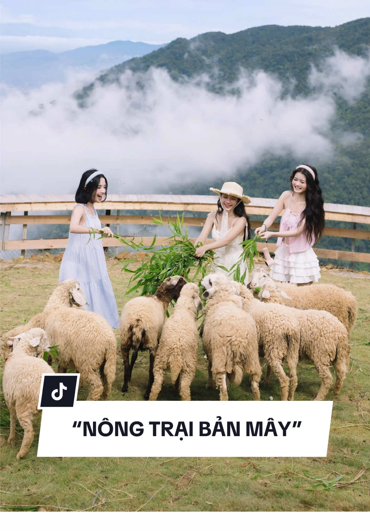 P3 nè. Đi chơi chill chill có ảnh xinh iu #leochupchoet #leodstudiohn #chupanhtamdao #nongtraibanmay 