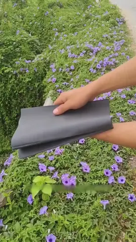Mua 1 tặng 1 ván diệt chuột, có thể sử dụng trong phòng khách, phòng ăn, phòng ngủ, sân trong, dụng cụ bắt chuột-7.26-YZJ