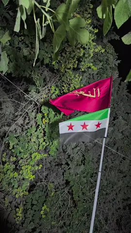 #CapCut #أبويوسف515 #النعيم_عيال_الهواشم515⚔️💪🦅 #راعين_الصفرااااااا⚔️⚔️🦅👑 