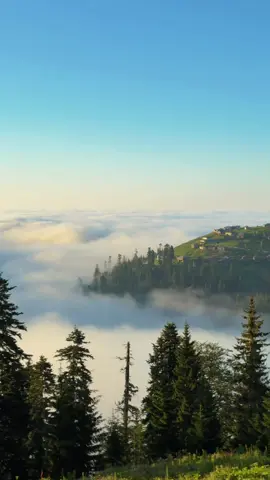 სამოთხის მთებამდე გასავლელი გზა ⛰️🏠 ბახმარო #guria #გურია #ბახმარო #bakhmaro #mountain #მთა #paradise 
