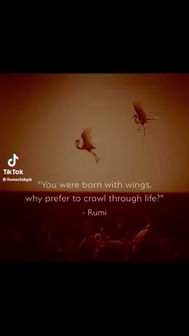 #inspirational #fyp #viral #trending #motivational #foryou #foryourepage #motivationalvideo #toryoupage 