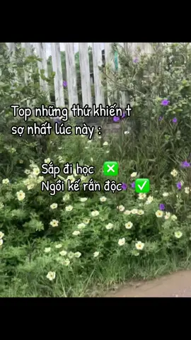 2 con rắn tap nhau hơi kì 🤡#xhhhhhhhhhhhhhhhhhhhhhhhhhhhhh #caption #trending #backtoschool#randoc
