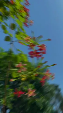 একবার বলি বার বার বলি বলি যে লক্ষ বার... 🥰💫 #backgroundvideo #foryoupage #foryou #statusvideo #viral 