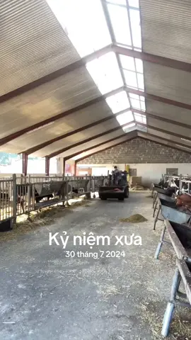 #kỷ niệm xưa 
