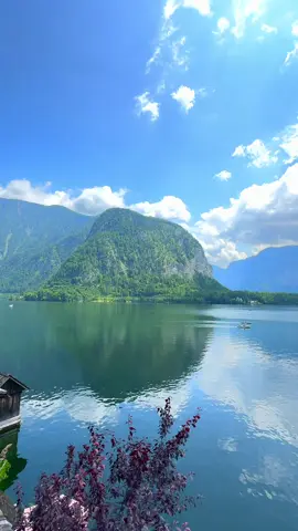 #hallstatt_austria #fyp #trending 