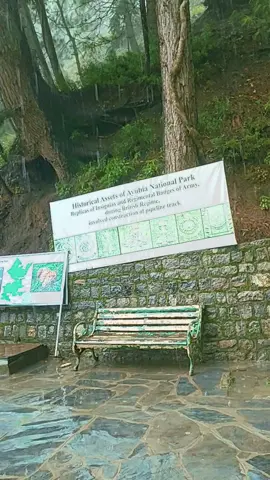 #travelwithsardarsab #rainnyday🌧️ #viralvideo #fypシ゚ #repost 