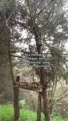 #mountain #fypage #fyp 