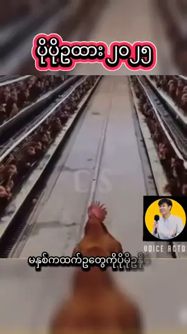 #ပိုပိုဥထား ၂၀၂၅#cis #myanmar #ဟာသလေးအားပေးပါအုံး🤣🤣🤣😅 #funny 