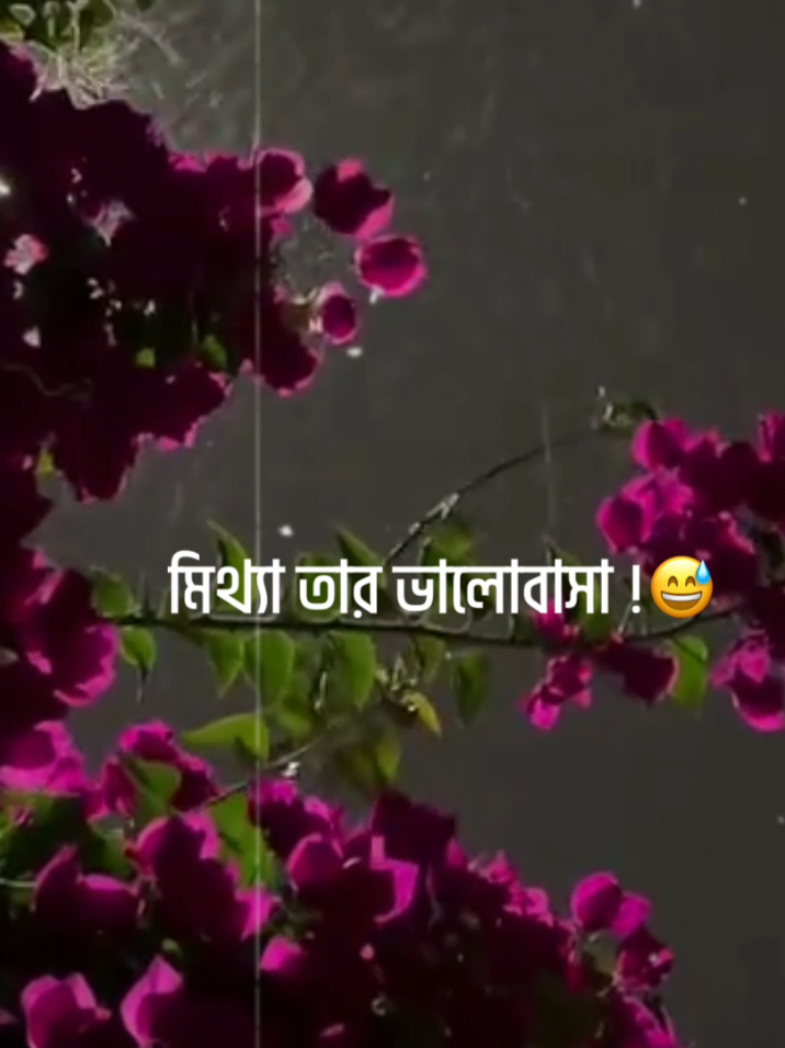 - মিথ্যা তার ভালোবাসা 