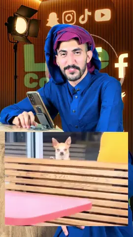 قصه السلف حصلت الي مسلفة فلوس بمطعم غالي 😂🚨🚨#ابوفاس_التمساح 