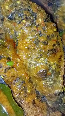 #pesmol ikan mas👌👌👌👍👍#fyppppppppp 