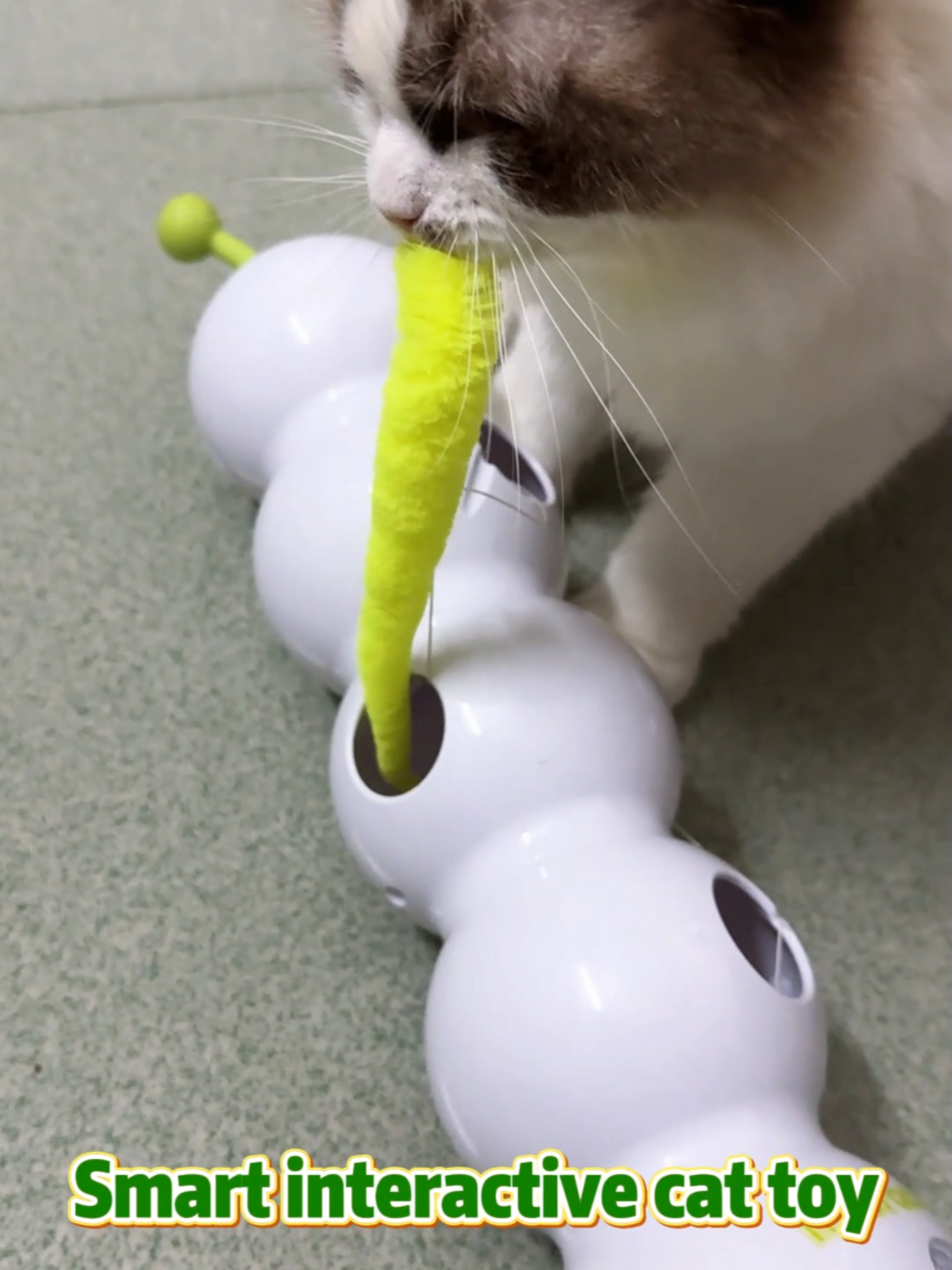 🐛⚡️Smart Sensor Interactive Caterpillar Cat Toy🐱 - Wall-Mounted, USB Rechargeable Wiggling Wall-Mounted Caterpillar Toy for Cats - Motion Activated, Self-Entertainment Rechargeable Smart Caterpillar Cat Toy with Suction Cup - Interactive & Unpredictable Fun Automatic 'Stick to the Wall' Caterpillar Cat Toy - Smart Sensor, Interactive Pet Tech Interactive Caterpillar Cat Toy with Motion Sensor - Suction Cup, Rechargeable, for Endless Play🌸#SmartCatToys #allforpaws #caterpillar #catlovers #PetTech #toys #funnytoys #tiktok #fyp #tiktokshop #cattoys