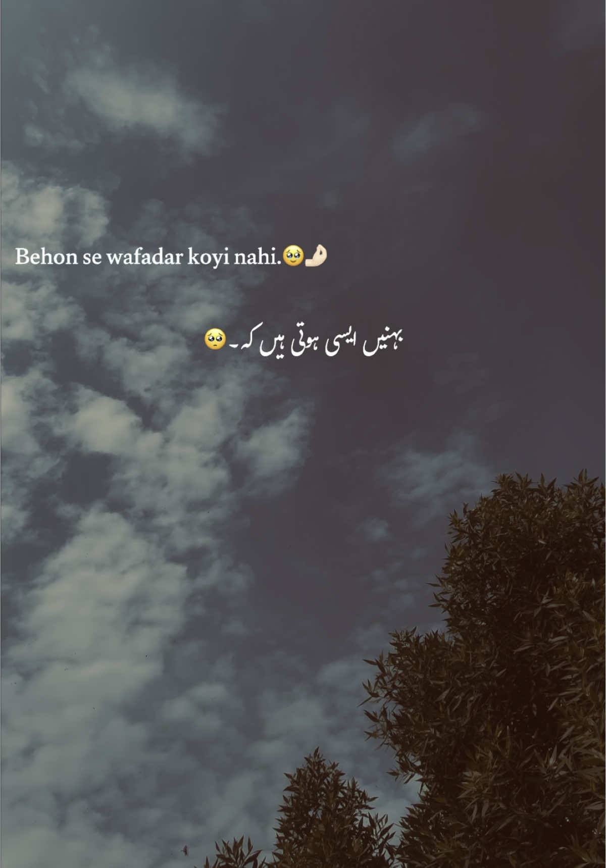 behen 🥹❤️‍🩹 #fyp #1millionaudition #foryoupage #grow #account #viral #urdu #aesthetic #poetry #sulmanedites #hehe_sulman 