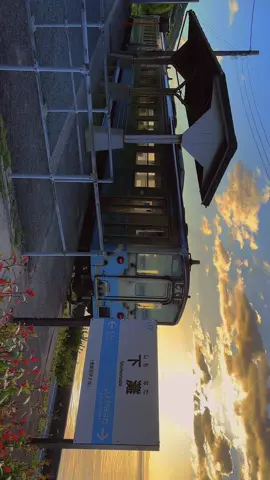 日本の鉄道路線の中でも、海に最も近い場所にある駅のひとつ。 ホームと線路のすぐ先に広がるのは、遮るもののない瀬戸内海の水平線。 日没時には美しい夕日が海に沈み、ここでしか見られない絶景を映し出している。 #下灘駅 #四国 #旅行 #絶景 