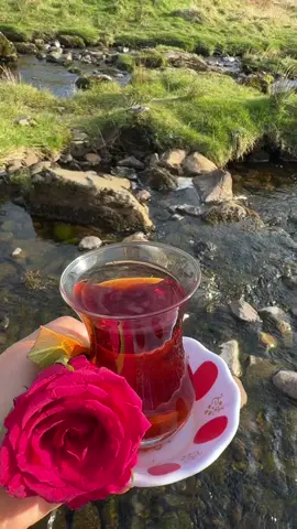 يسكن الروح ..💜🍃  من كان لنا عند الشدائد ؛ اكثر قرباً .. وأحنّ يداً 🤍🖤