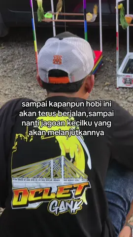 hobi papa mahal nak🤩#kicau #kicaumania #kenarimania #kicaumaniaindonesia #fyp #kenarimaniaindonesia #trending 