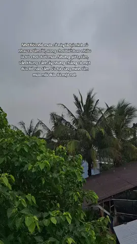 Tự nhiên lâu lâu nhìn mưa lại nhớ bản thân hồi bé, nhớ luôn cả đám bạn thuở nhỏ. #mưa #tammua #muahe #xh #quêtôi #tuoitho #motbautroi_motdammay #rain 