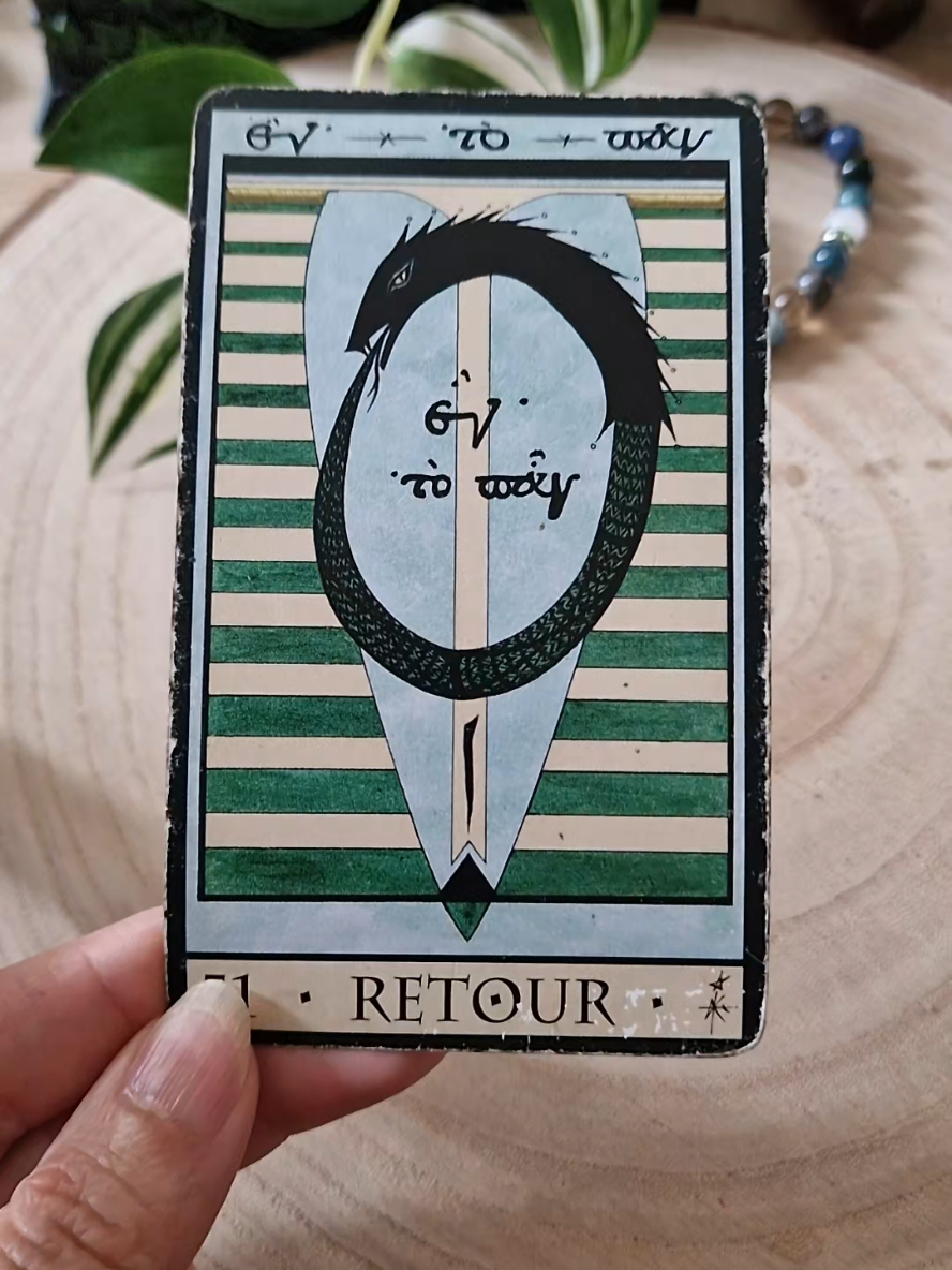 une bonne nouvelle sous 6 jours arrive  #Voyance #GuidanceDuJour #voyancegratuite #cartomancienne #tiragedecarte 