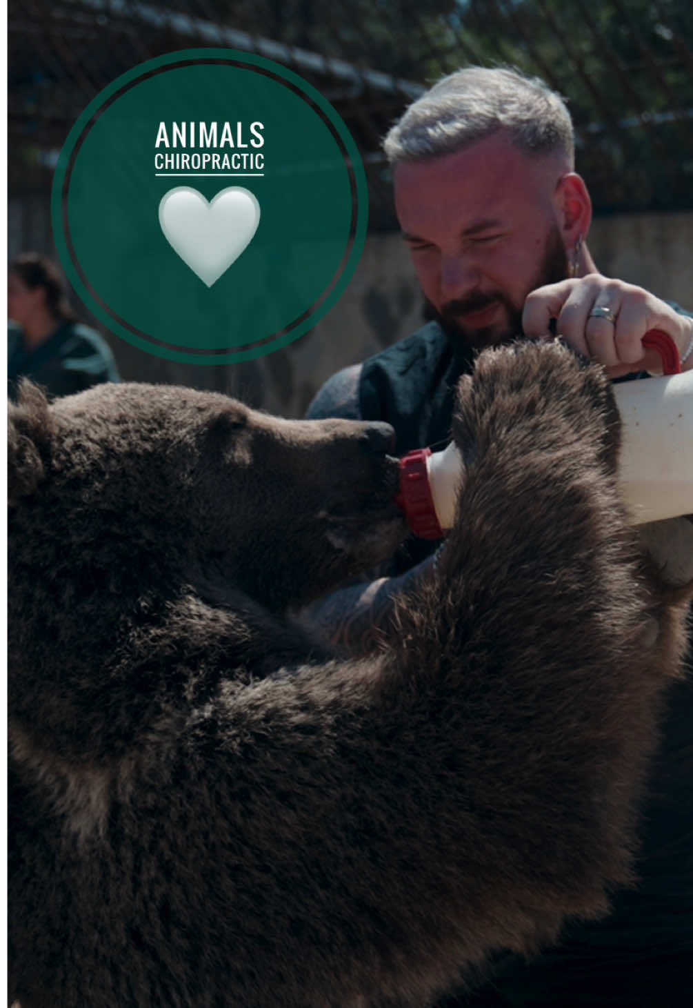 Animals Chiropractic 💚💚🐻 • • • #foryou #asmr #animal #chiropractortiktok #türkiye #hundeauftiktok #hund #tiere #Love #animals #chiropractic #helfen 