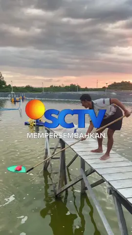 #CapCut #vannameishrimp #vannamei #vannameiindonesia #vanameindonesia🦐🦐🦐 #tambakudang #udangvaname #Budidayaudang #prigishrimparmy #bismilahfyp 