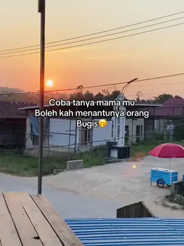 #bugissulawesi #bugissoppeng #fyp #rantaupulung_kaltim 