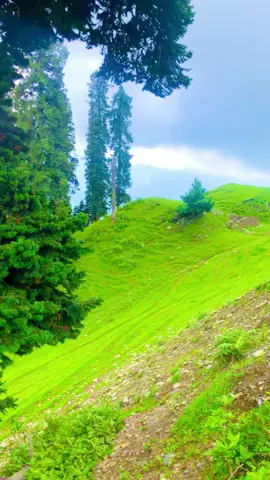Kashmir , Nand-Gali Part 2 #fyppppppppppppppppppppppp #fyp #kashmir #haveli #nature #nandgali 