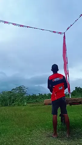daun muda,rabu tipis-tipis🍌🏁 #pmtipangandaran #pmtisidareja #fyp #hobbymerpati #officialtiktok 