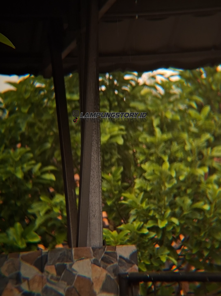 @𝑀.𝒶𝒷𝒾𝒹𝒾𝓃𝟤𝟥 @Rezatehalcull @Bang_Lam  #fyp #viral #storywa #lampung 