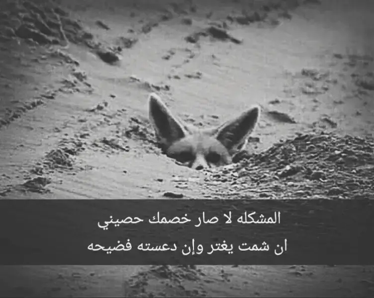 #المشكله لا صار #خصمك حصيني  ان شمت يغتر وإن دعسته فضيحه #قصيده_شعر_بوح_كلام_من_ذهب  #explore #جبراتت📮 #قصيده  #___musically___ #قصايد_شعر_خواطر 